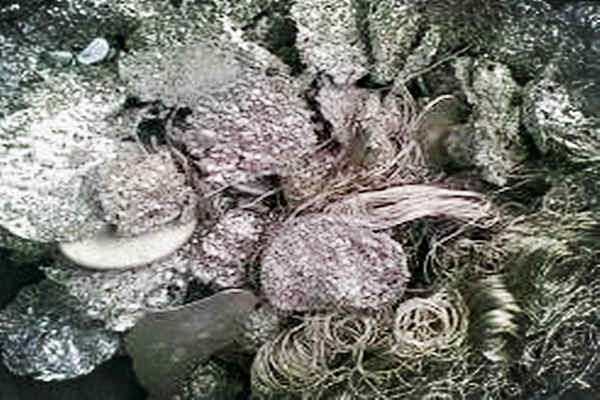 苏州格士奥再生资源专业回收锡渣